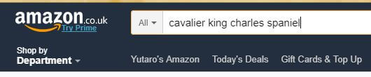 uk%E6%A4%9C%E7%B4%A21 - Amazon.co.uk（アマゾンイギリス）の購入方法紹介！割引クーポン＆セールの買い方、登録方法・個人輸入買い物 イギリスアマゾン購入完全ガイド2020